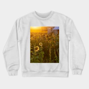 Glowing sunflower farm Crewneck Sweatshirt